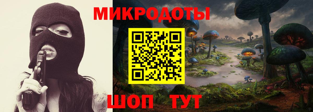 Прохладный  Галлюциногенные грибы Psilocybe  Галлюциногенные грибы MAGIC MUSHROOMS  Вход с VPN 